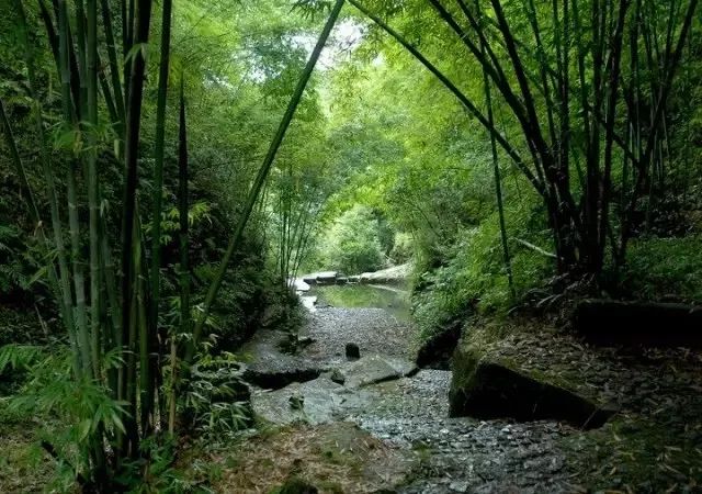 贵阳周边最适合露营的7个地方！赶紧出发,满天星星等着你