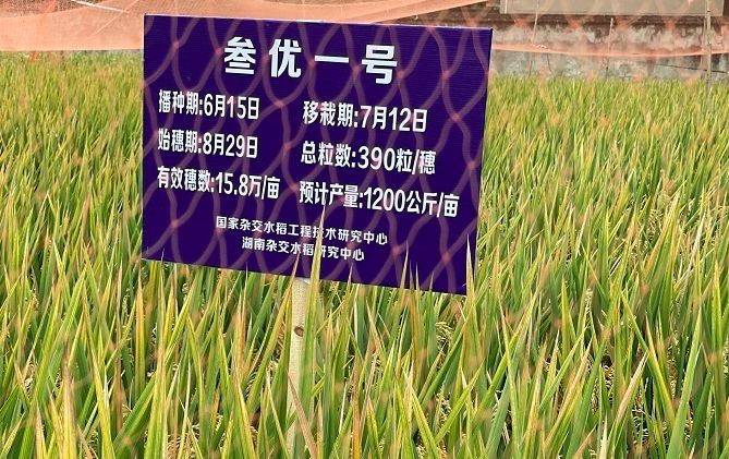 龙珠娱乐手机网投 “2019广东省百强民营企业”名单出炉,美的置业榜上有名