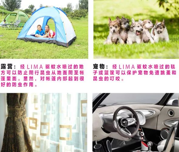 轻轻一喷这款泰国好物，蚊虫再无嚣张机会了！