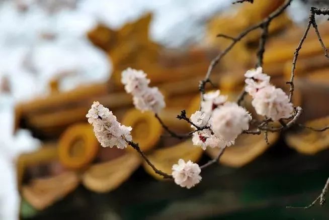 【赏析】无言独上西楼,月如钩。 寂寞梧桐深院