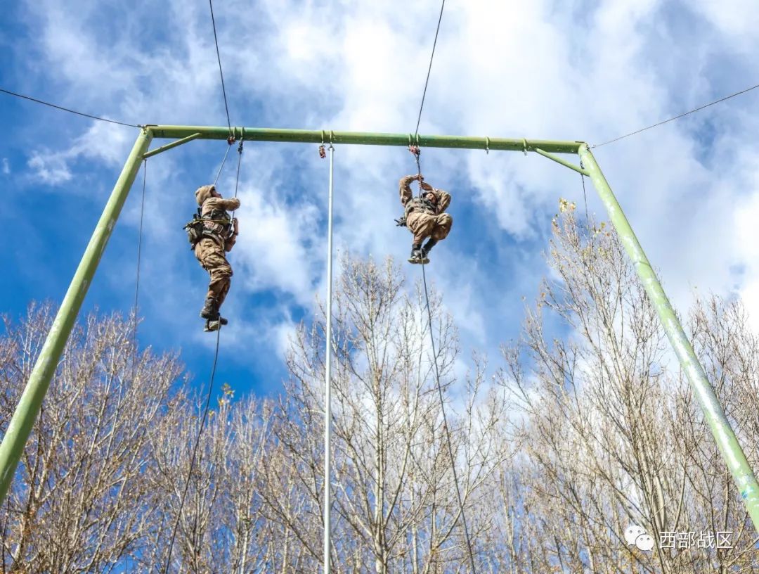 这个营,新士官和新排长较上了劲儿