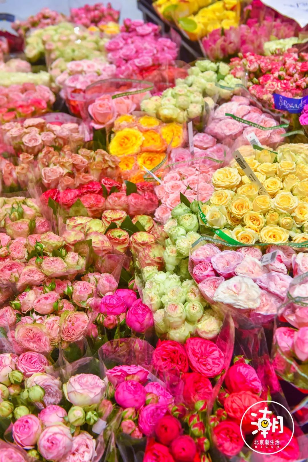 北京花卉市场