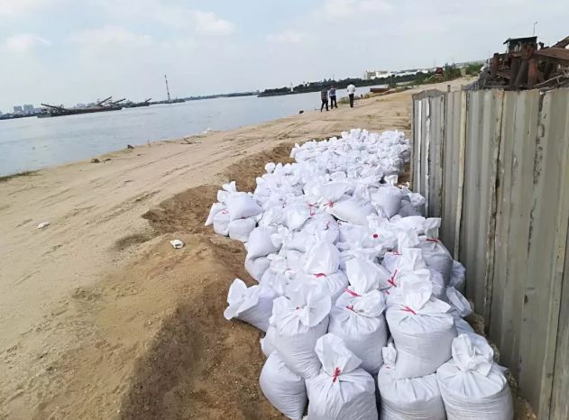 刚刚,东莞台风预警升级为橙色!东莞植物园临时