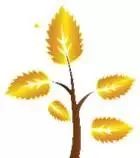 @青岛人,去社区门诊看病咋报销?2018最新攻