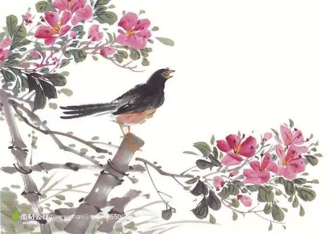 和孩子一起读诗 | 蜀国曾闻子规鸟,宣城还见杜鹃