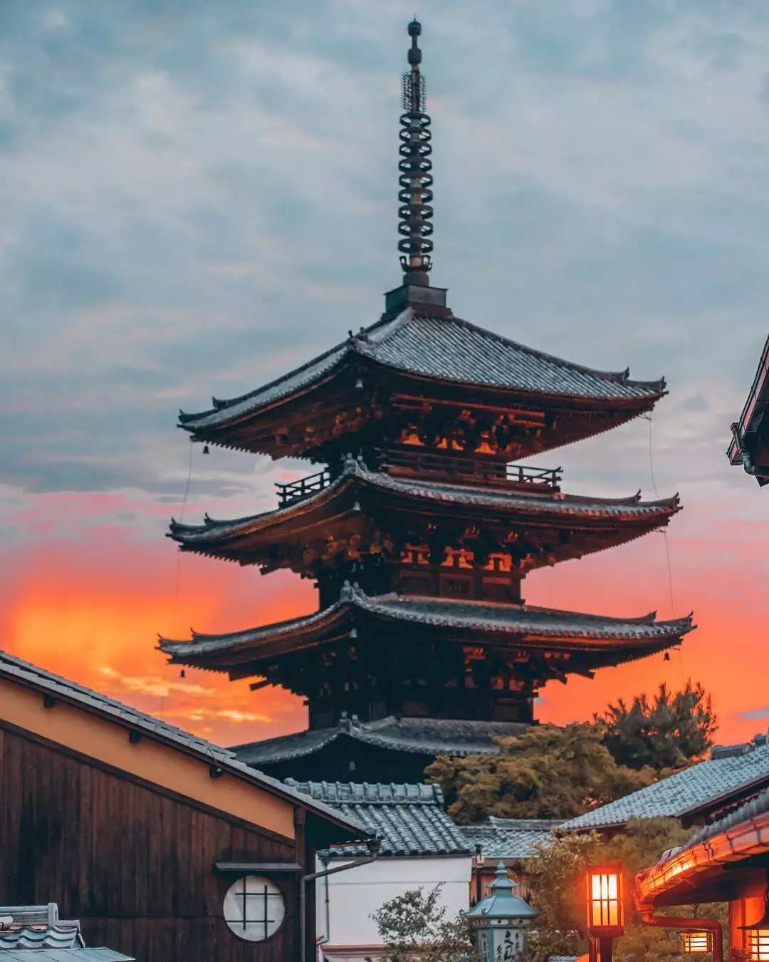 壁池丨东京热不热我不知道,反正这个摄影师拍