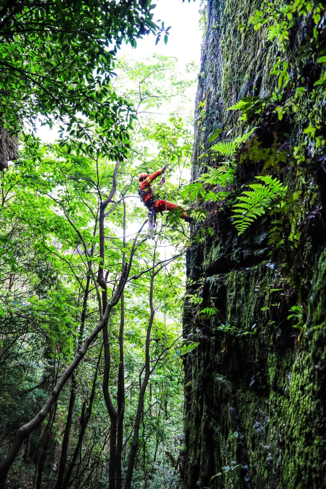 湖南消防精英论剑天子山 高空飞索横渡救援练本领