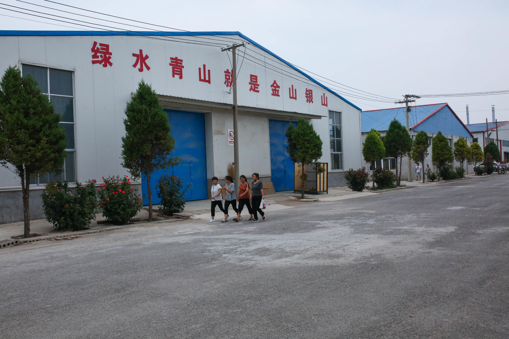 曹县楼庄人口_曹县楼庄填老塔湾村