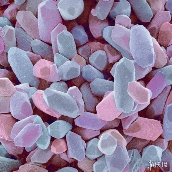 肌肉组织像无数根橡皮筋!显微镜下的人体竟是这样的