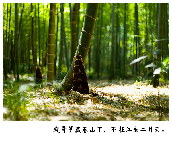 二月别称知多少