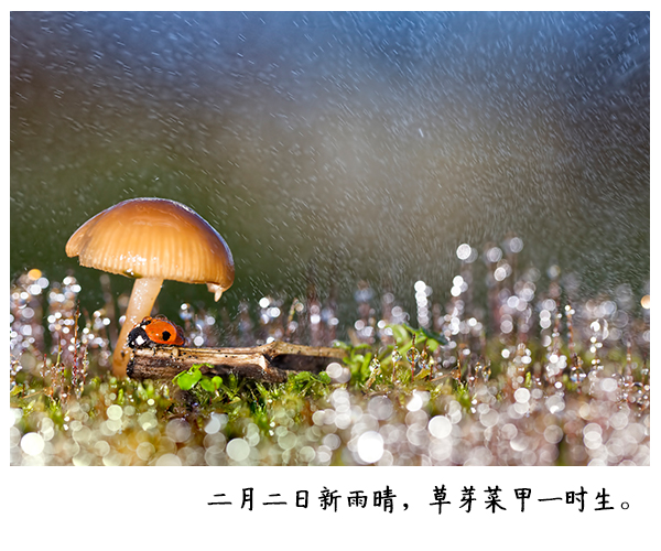 二月别称知多少