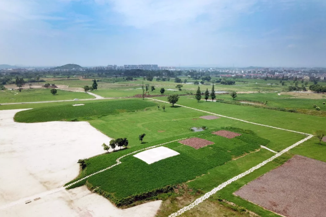 2018年6月6日，浙江杭州，正在建造中的良渚国家考古遗址公园。