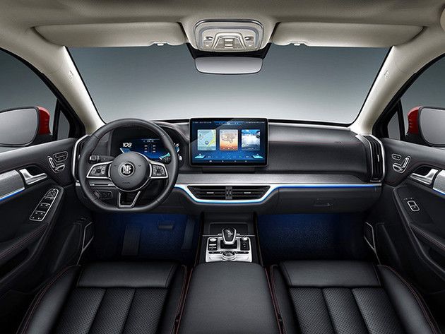 小胜特斯拉?比亚迪荣膺2018年全球新能源汽车“销冠”背后的喜与忧