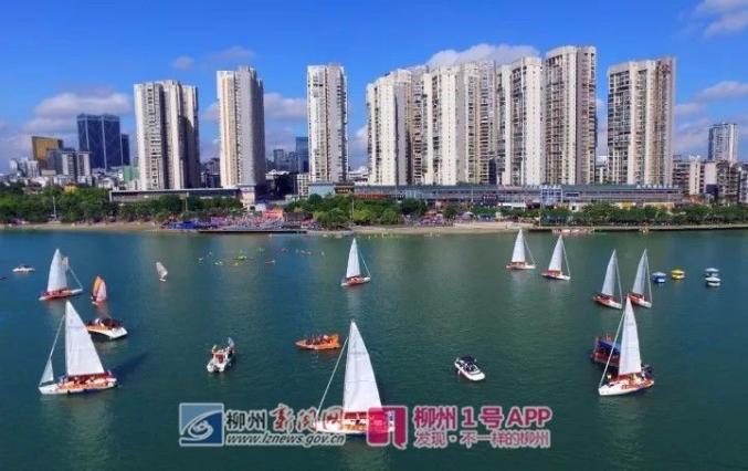 关于赌钱后悔的词 广西藤县:贫困户的“经济红娘”活跃在城乡