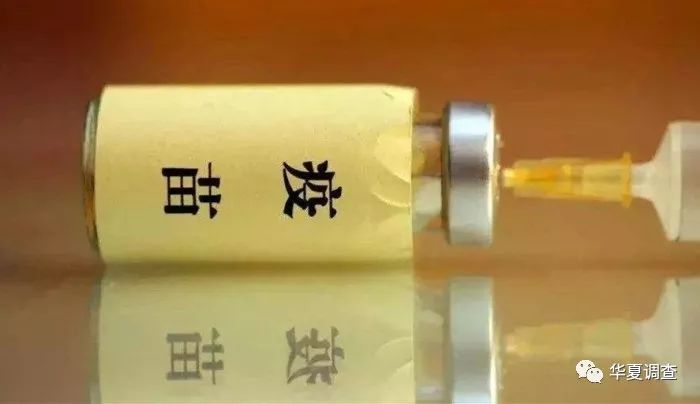 又一起疫苗贪腐案曝光: 疾控中心主任受贿,10家医药公司卷入