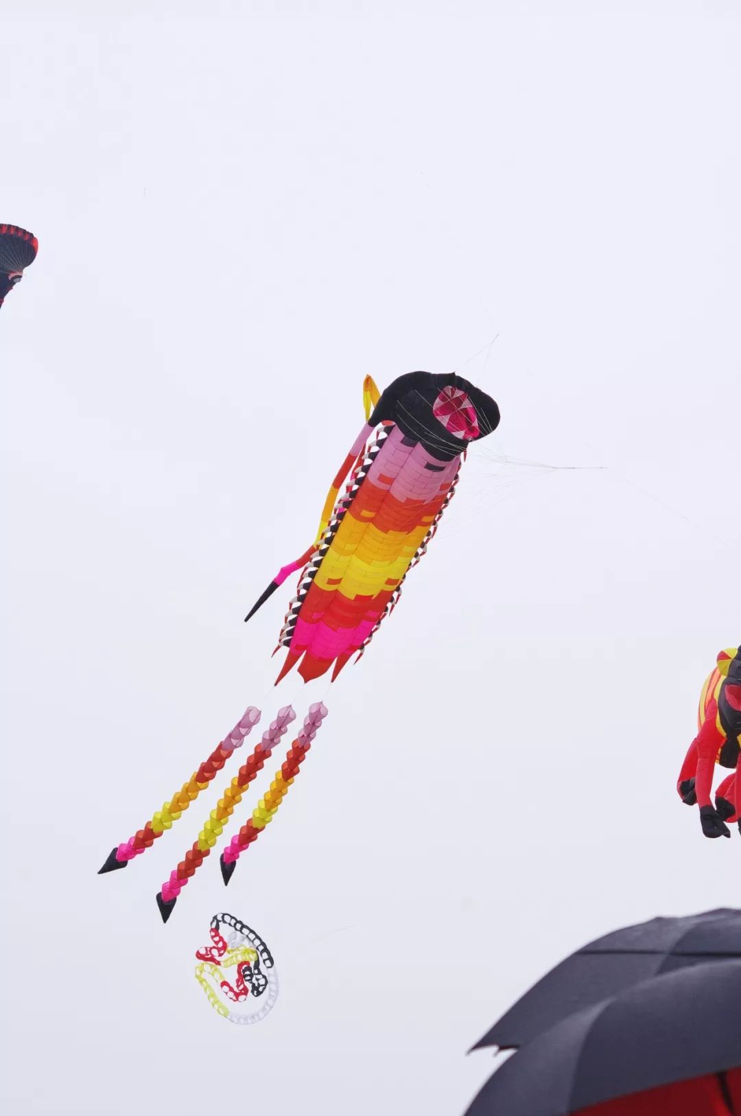 兩萬(wàn)多人都在抬頭看啥？花鳥(niǎo)魚(yú)蟲(chóng)都“飛”上了武漢的天(圖3)