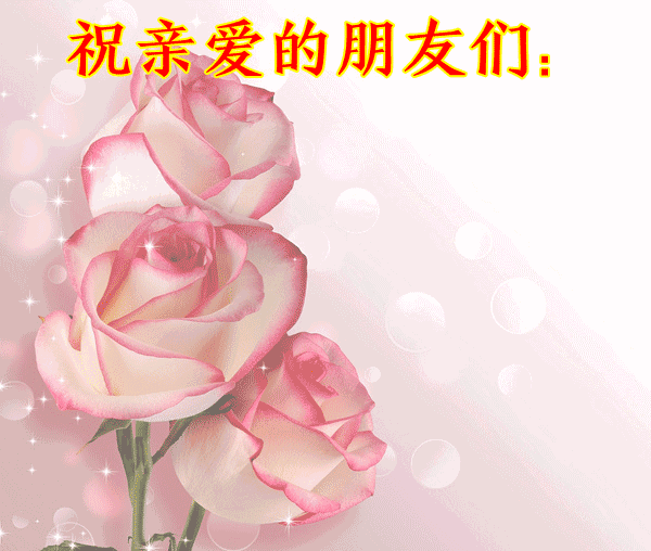 夏至群相册 太太太美了,打开快乐一