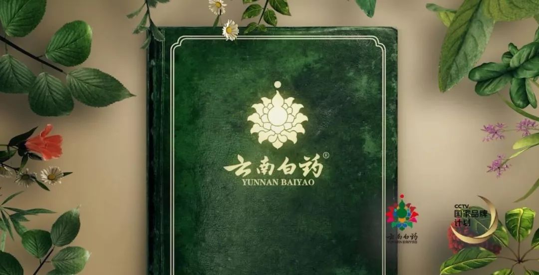 宝汇国际娱乐平台代理|纺织服装板块小幅走高 搜于特龙头股份涨停