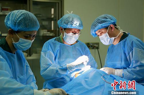 资料图:医生正在进行手术。中新社记者 张海雯 摄