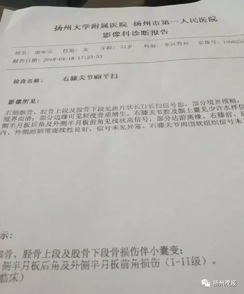 检查报告