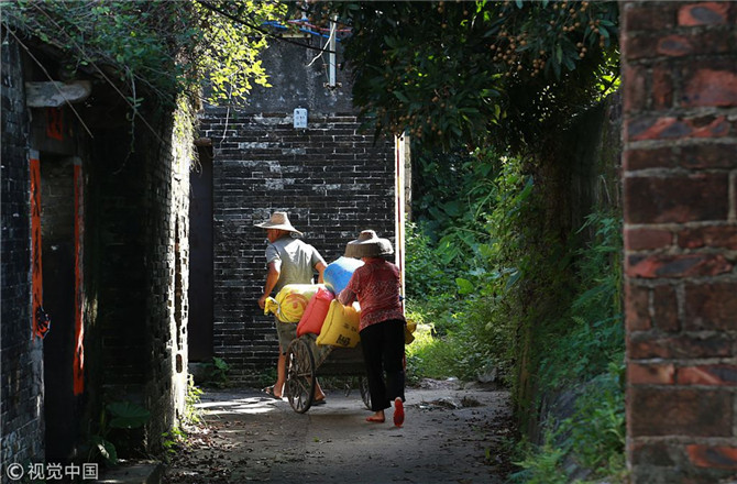 郑风田:乡村振兴战略给乡村企业带来哪些新机