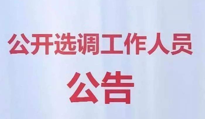 银川近期招聘汇总!含医院、事业单位,速报名!