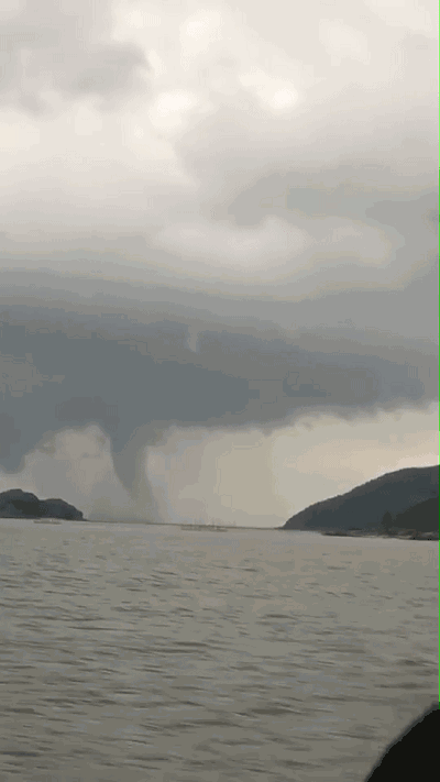 壁纸 桌面 400_711 竖版 竖屏 手机 gif 动态图 动图