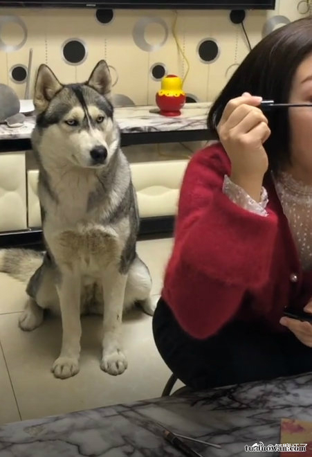 小两口去饭店找刺激 !每日轻松一刻3月2日晚间版
