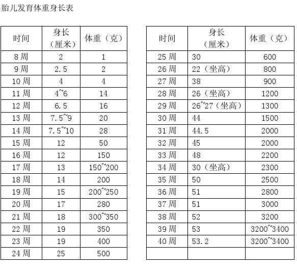 怀孕3个月胎儿有多大?孕妈妈看上去没有显肚子,正常吗?