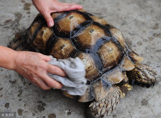 养什么赚钱?2018年水产热门养殖品种大盘点 