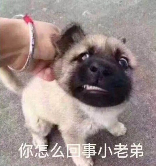 大B神脱口秀:初中生菜园蹲点蹭WIFI玩吃鸡游戏,被警察误认偷鸡贼