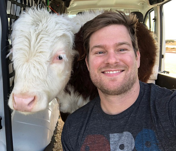 暖心!美国男子驱车3500公里送宠物牛就医