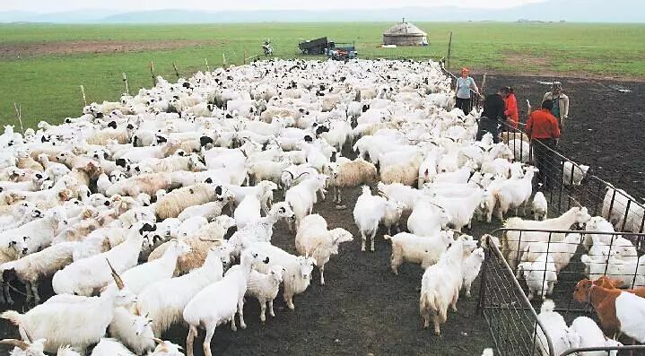 国家权威发布!关心云南农村发展的速看!2018年