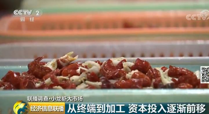 吉林张警官9分49秒头撞玻璃