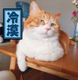 有人晒包包,网友纷纷亮出同款:这是我离时尚圈最近的一次了