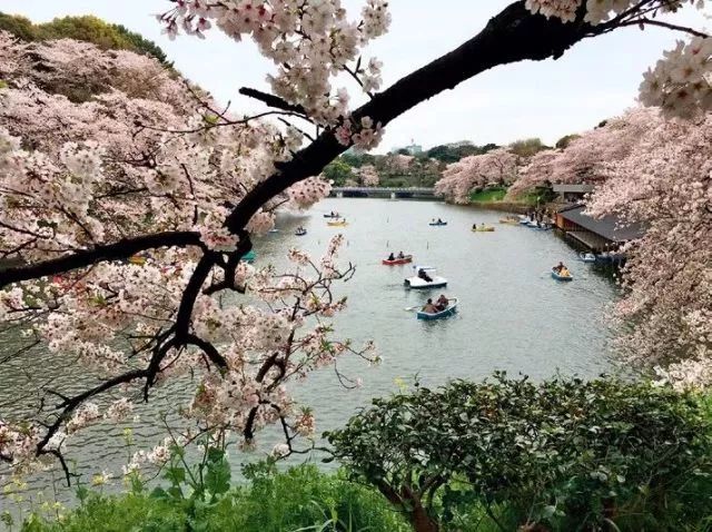 ▲宜居成为大城市群的重要内涵。(胡俊凯 摄)