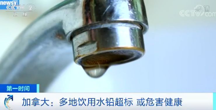 k8凯发推荐官方网站下载 - 你是非师范生考教师吗?