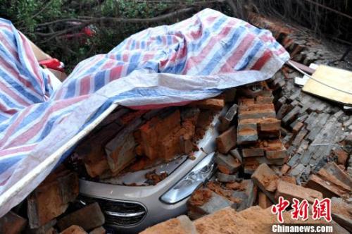福州仓山区一所中学与居民住宅区之间的一段围墙倒塌,围墙附近的树木被连根拔起,多辆停在围墙边的汽车被散落的砖石和倒塌的树木掩埋。 张斌 摄