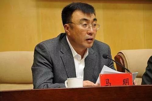 内蒙古政协副主席公安厅长被查 曾长期任职吉林