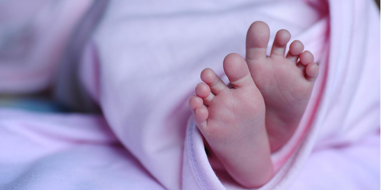 法国统经所:近10年婴儿死亡率保持稳定 接近欧