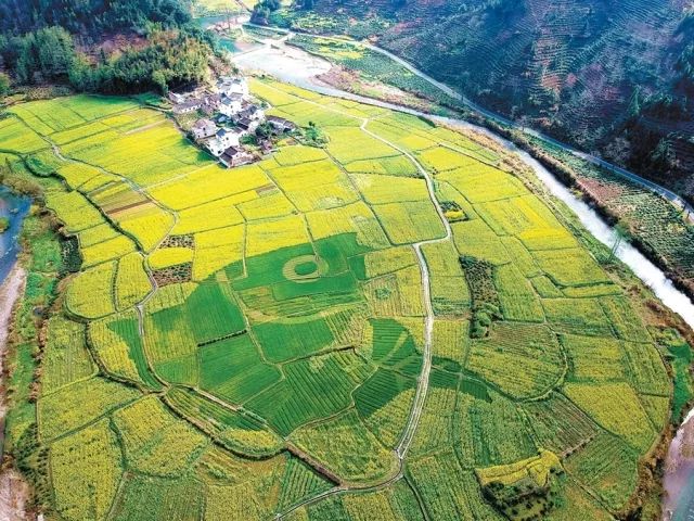 正是安徽赏花季,送你一份拍摄锦囊投身油菜花海