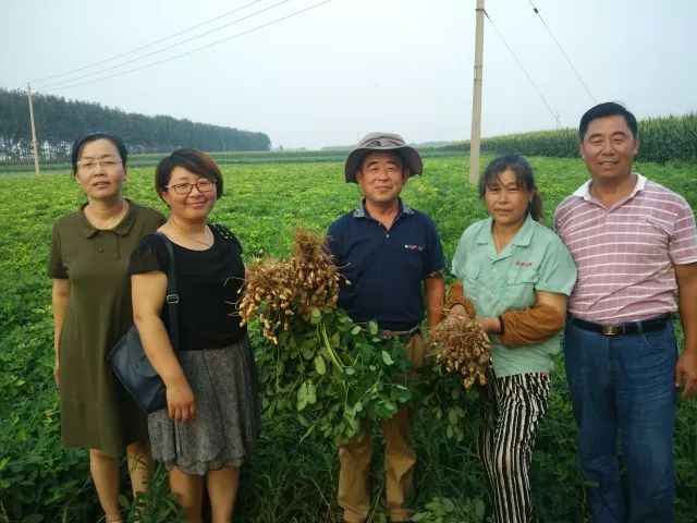 花生播种技术大全,看完你就都明白了!