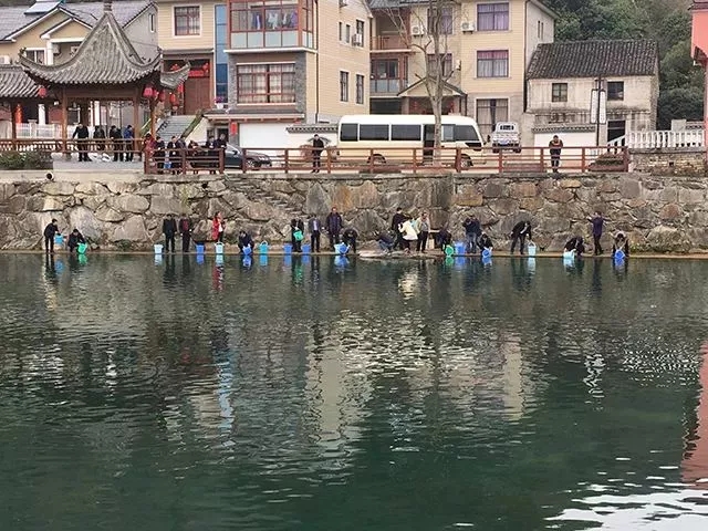 净化水环境修复水生态 临安来了10万个好帮手