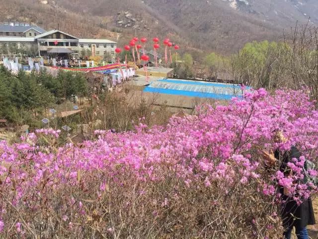 公园内还有著名的辽南第三高峰歇马峰等9处山峰