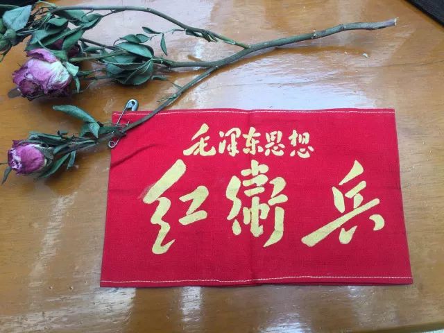 新西南五月两大活动强势来袭，这样做才是最赚的！