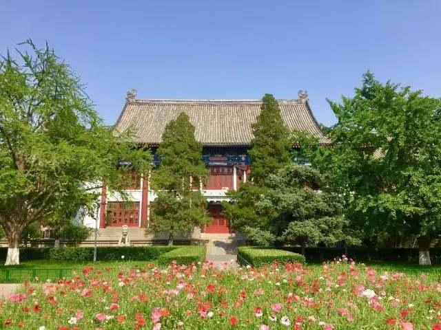 全球大学声誉最新排名,香港已被大陆甩出一大