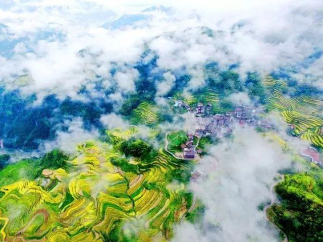 浙江省大学生乡村振兴创梦丽水行动启动