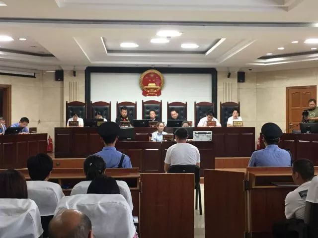 全市首例刑事附带民事环境公益诉讼案件在我院