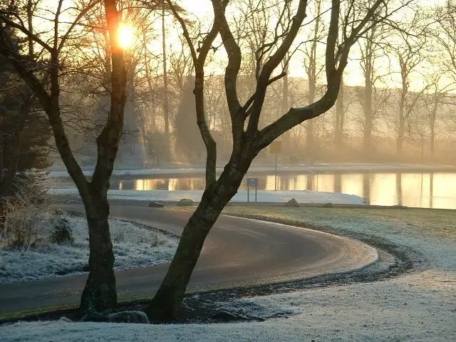 摩擦，“似魔鬼的步伐”，冰壶怎么玩你知道吗？