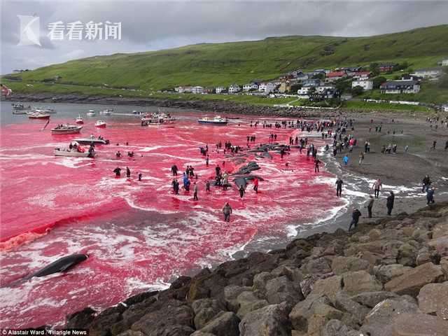 引江济淮（安徽段）完成投资近九成